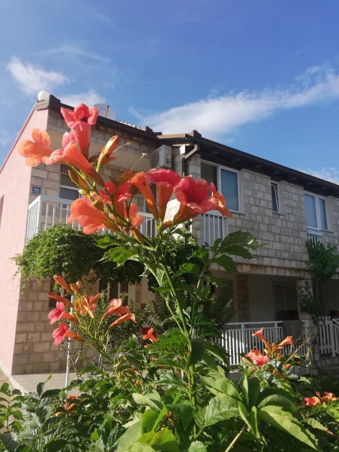 Apartmani Danica Orebić Exterior foto